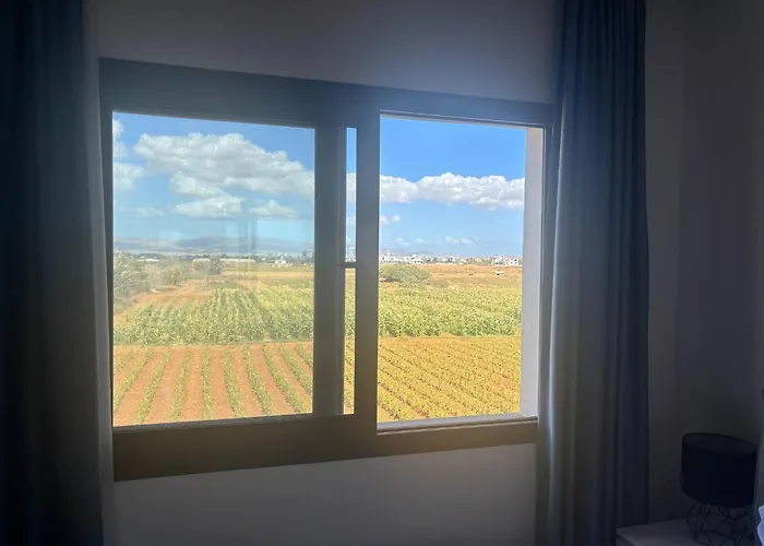 New In A Great Complex